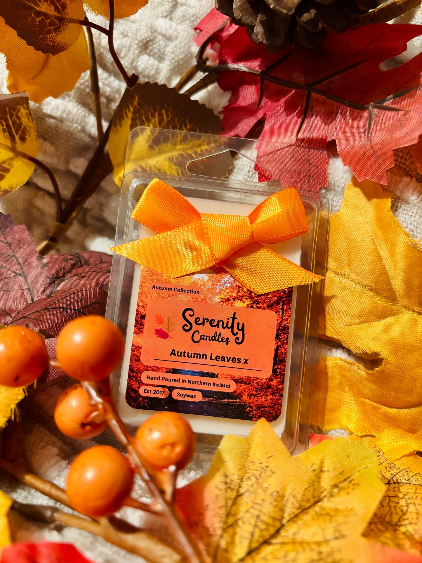 Autumn Collection Wax Melts