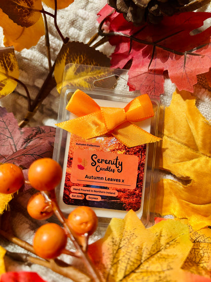 Autumn Collection Wax Melts