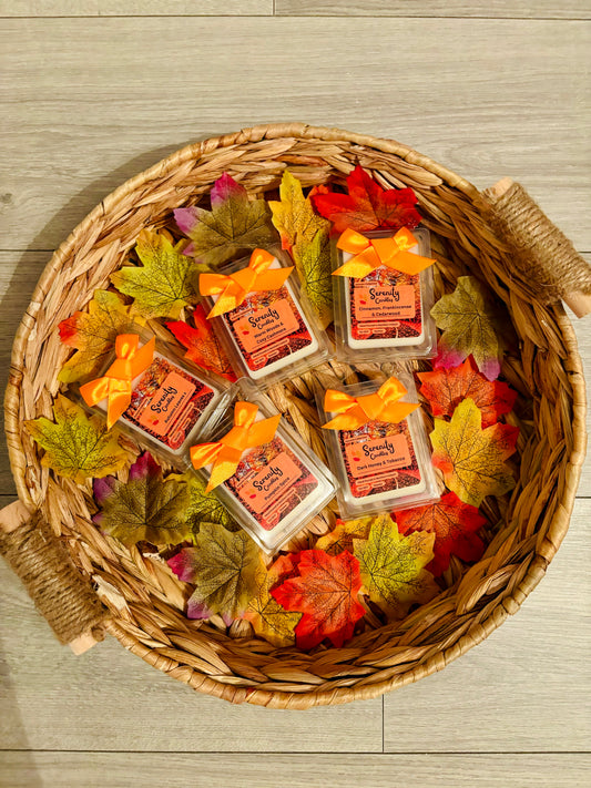 Autumn Collection Wax Melts