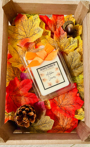 Open image in slideshow, Autumn Collection Wax Melts
